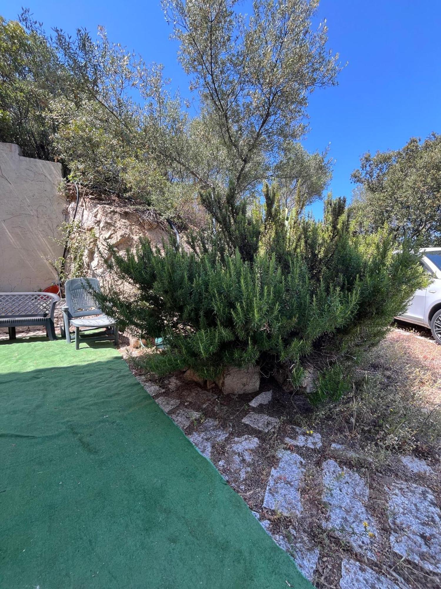 Venti Di Vacanza - Levante & Grecale Olbia Exterior foto